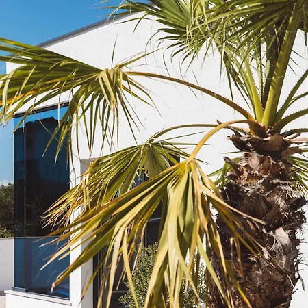 Glamping Olive And Sea Bibinje